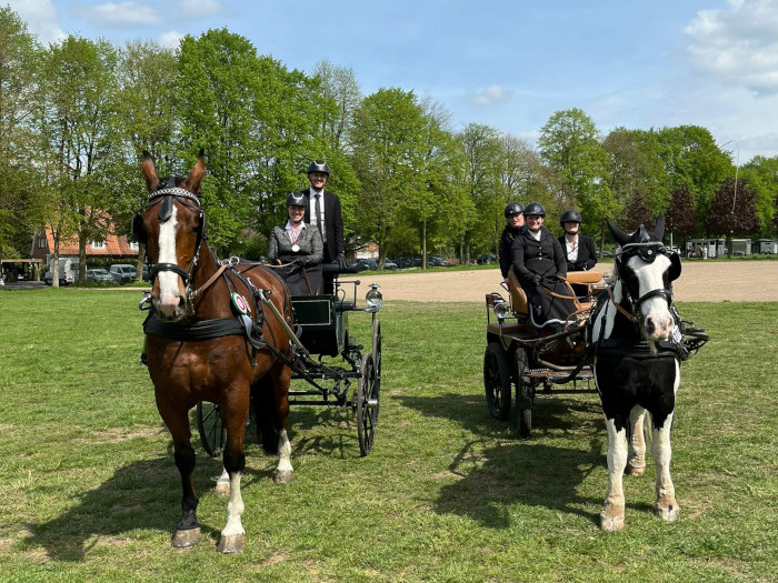 Kutschefahren, auch im Turnier