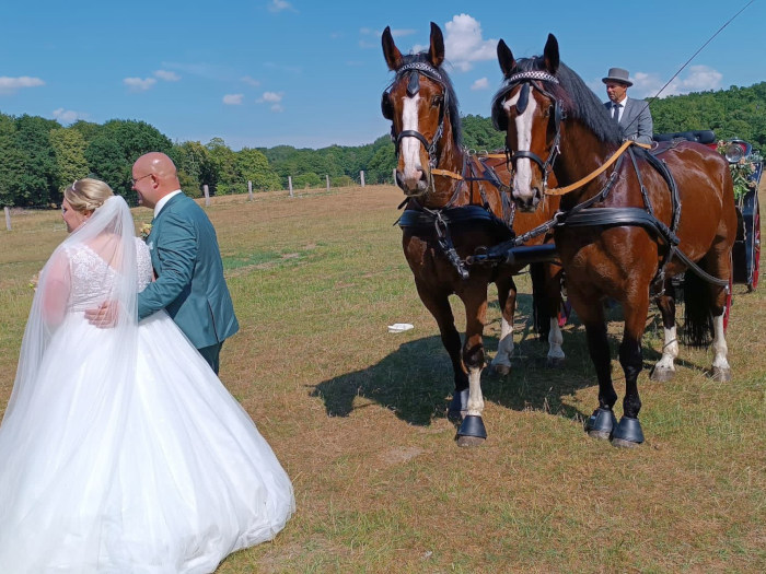 Hochzeitskutsche mit Brautpaar und Kutsche