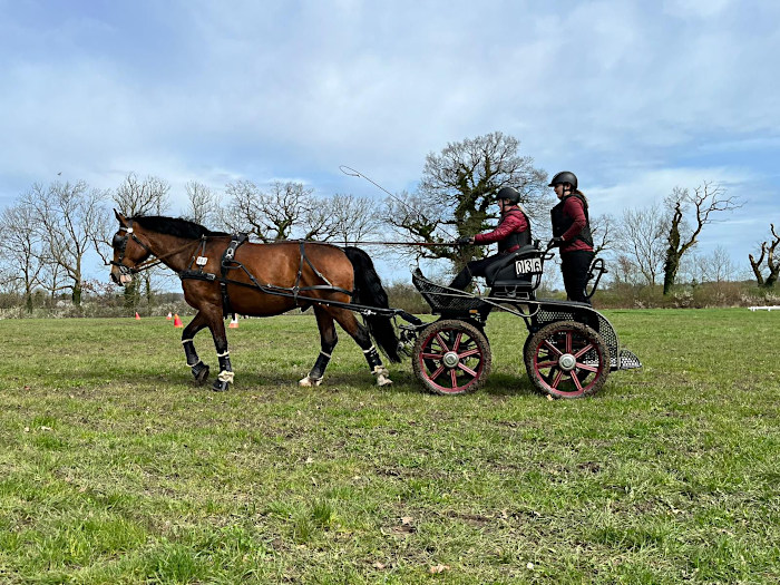 Kutschefahren lernen