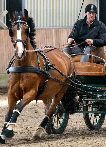 Gerd Winkler in Kutsche beim Turnier