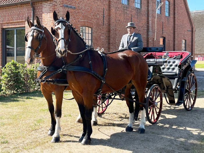Viktoria-Hochzeitskutsche